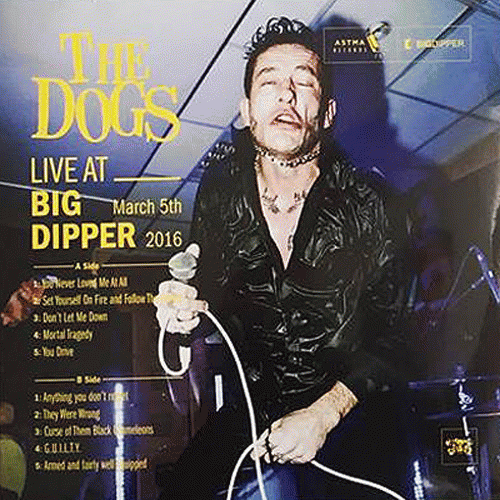 The Dogs : Live At Big Dipper, March 5th 2016